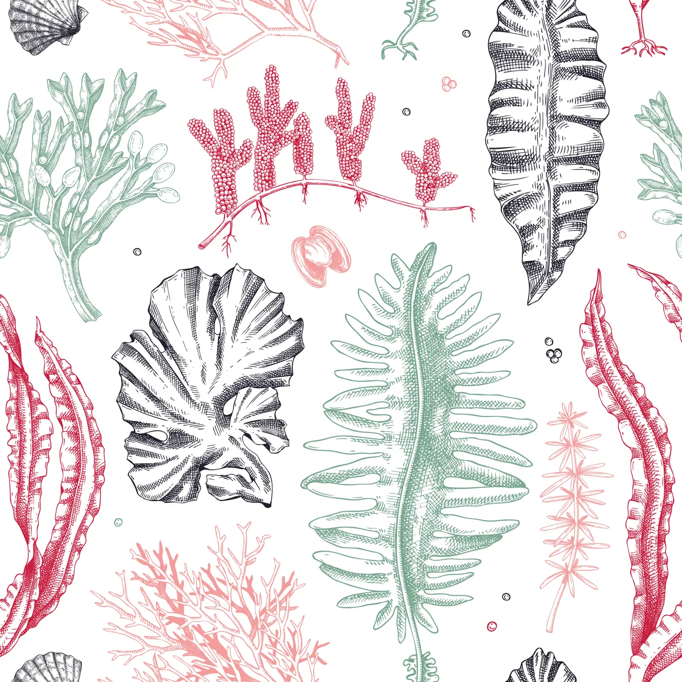 Edible seaweed seamless pattern. Hand-drawn sea vegetables - kelp, kombu, wakame, hijiki  drawings. Underwater algae design in sketch style. Asian cuisine menu or healthy food background Illustration